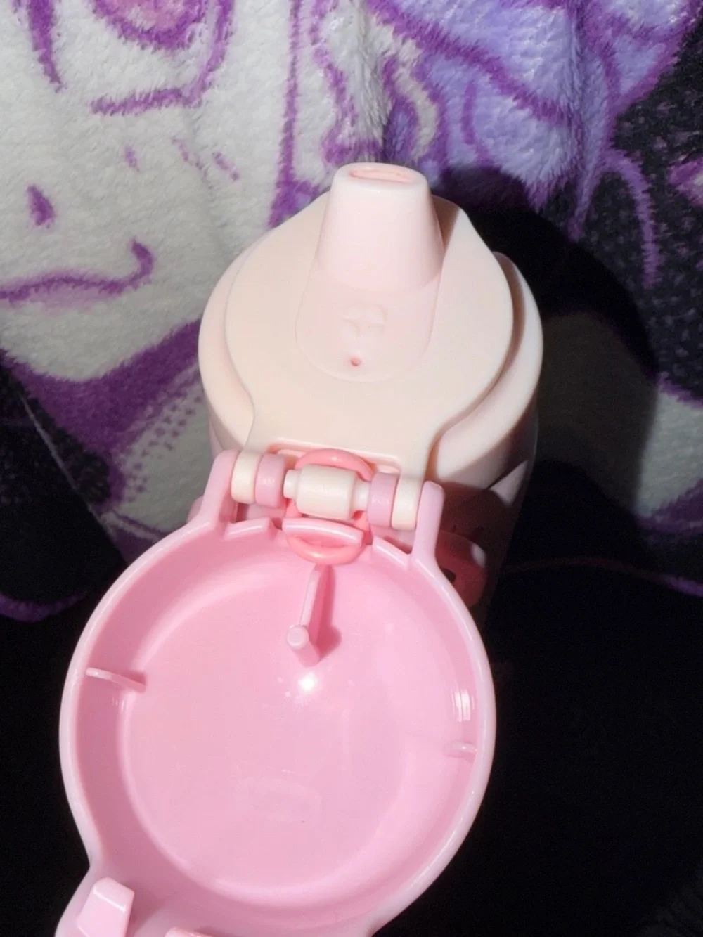 ello Pink Cherry Stainless Water Bottle with Flip Handle